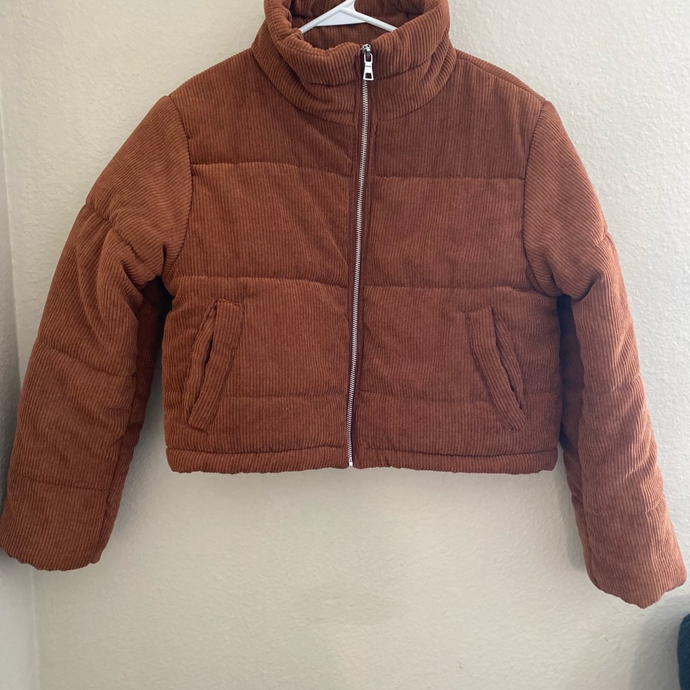 Ambiance Brown Cropped Puffer Jacket